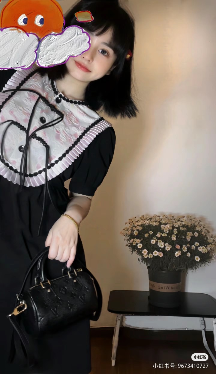 Louis Vuitton Speedy Bags